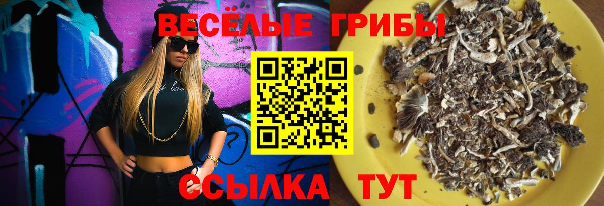 Галлюциногенные грибы Psilocybe Донской